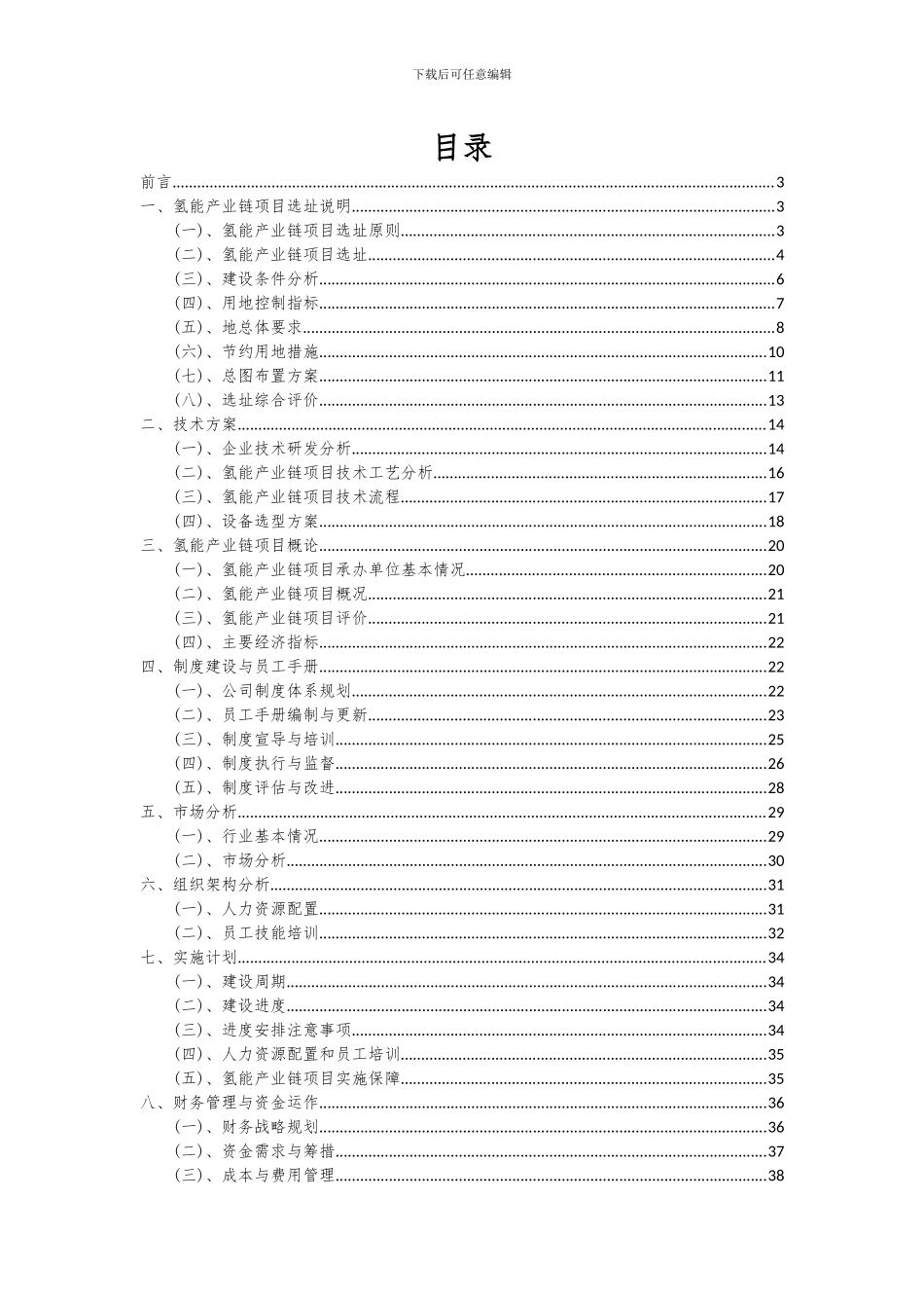2024年氢能产业链项目可行性分析报告_第2页