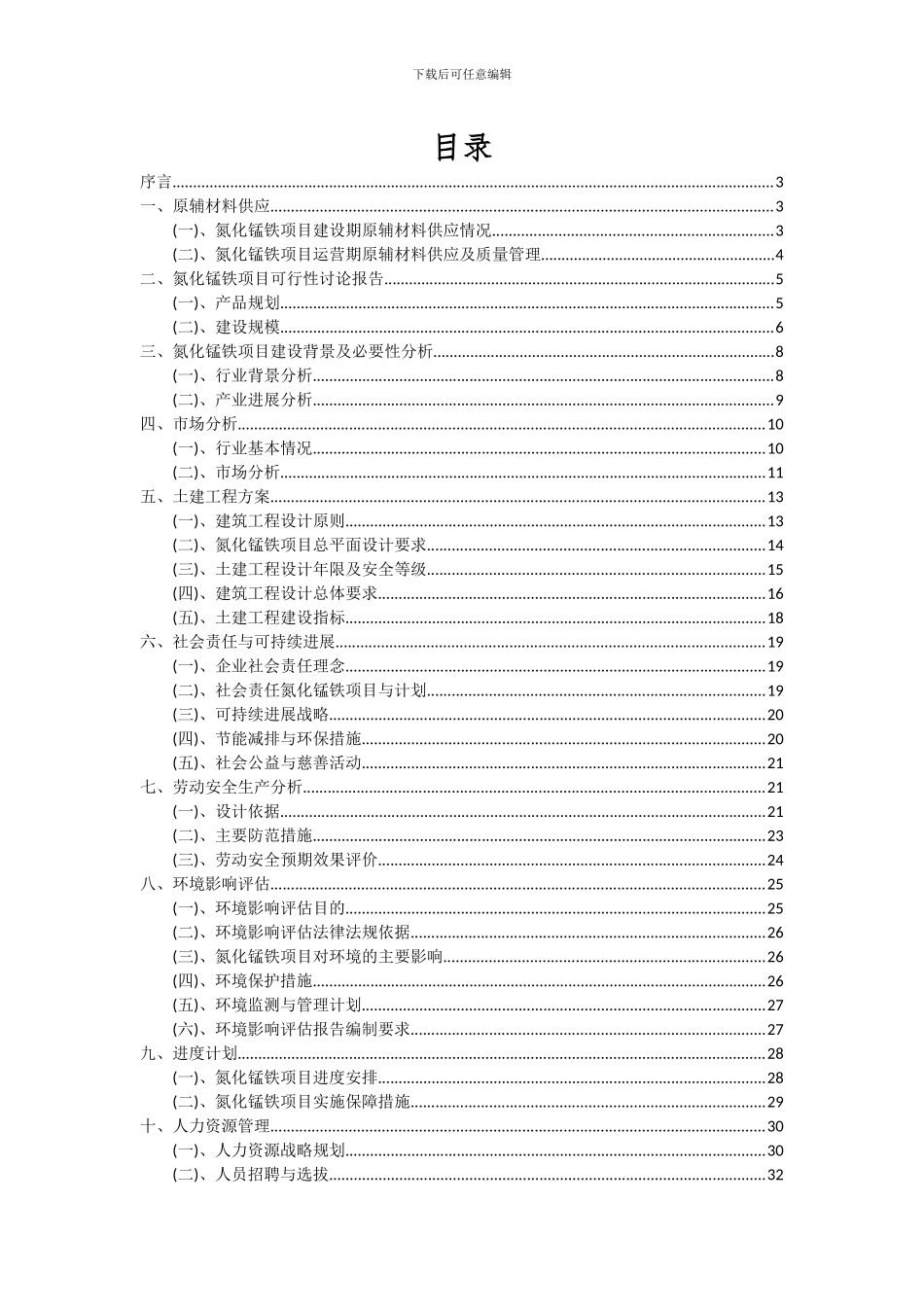 2024年氮化锰铁项目可行性研究报告_第2页
