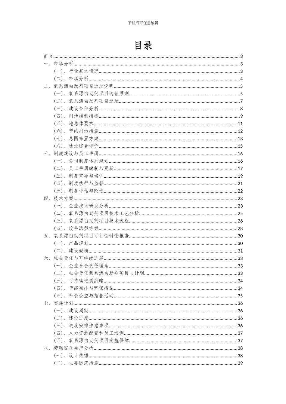 2024年氧系漂白助剂项目可行性分析报告_第2页