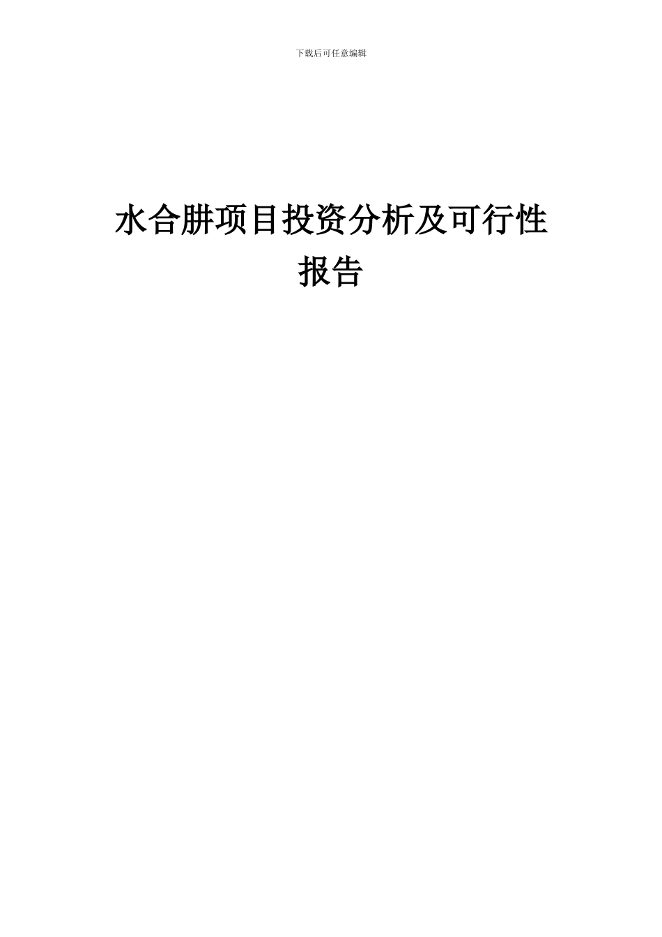 2024年水合肼项目投资分析及可行性报告_第1页