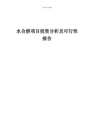 2024年水合肼项目投资分析及可行性报告