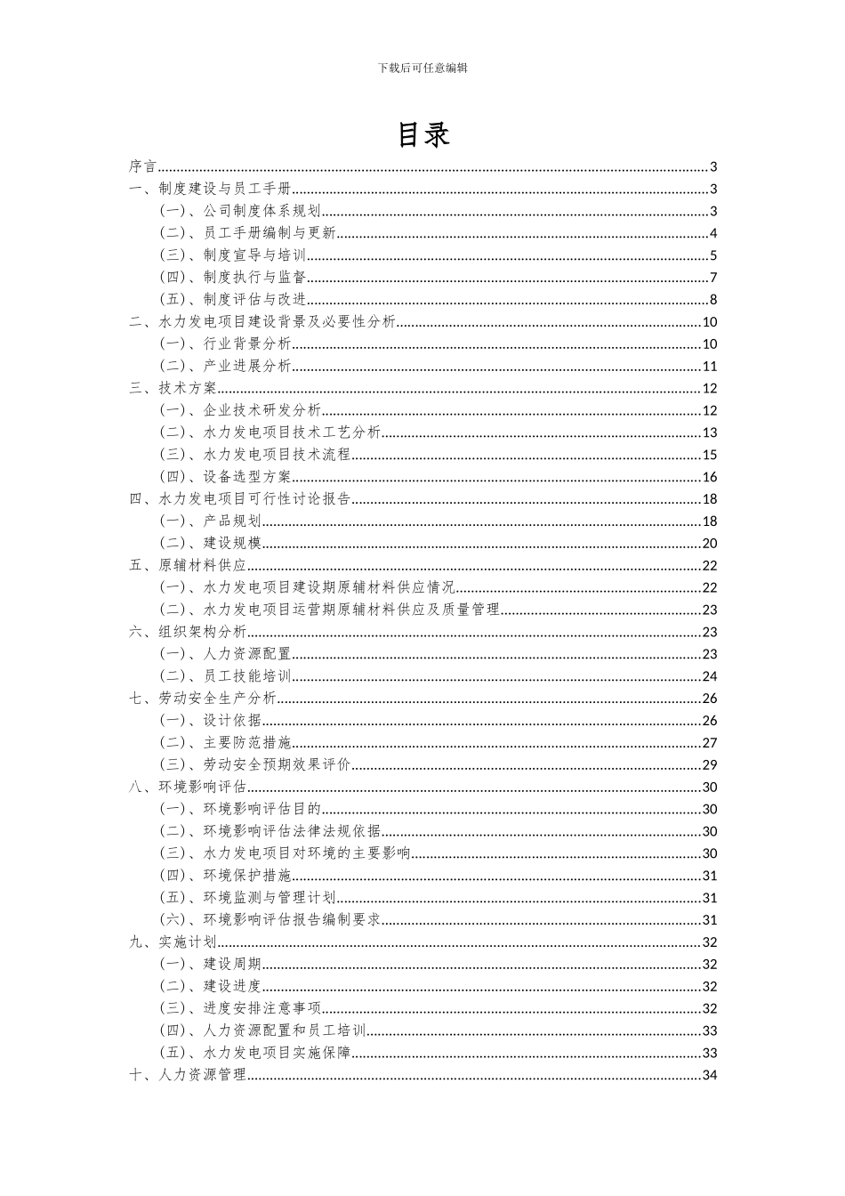 2024年水力发电项目可行性研究报告_第2页