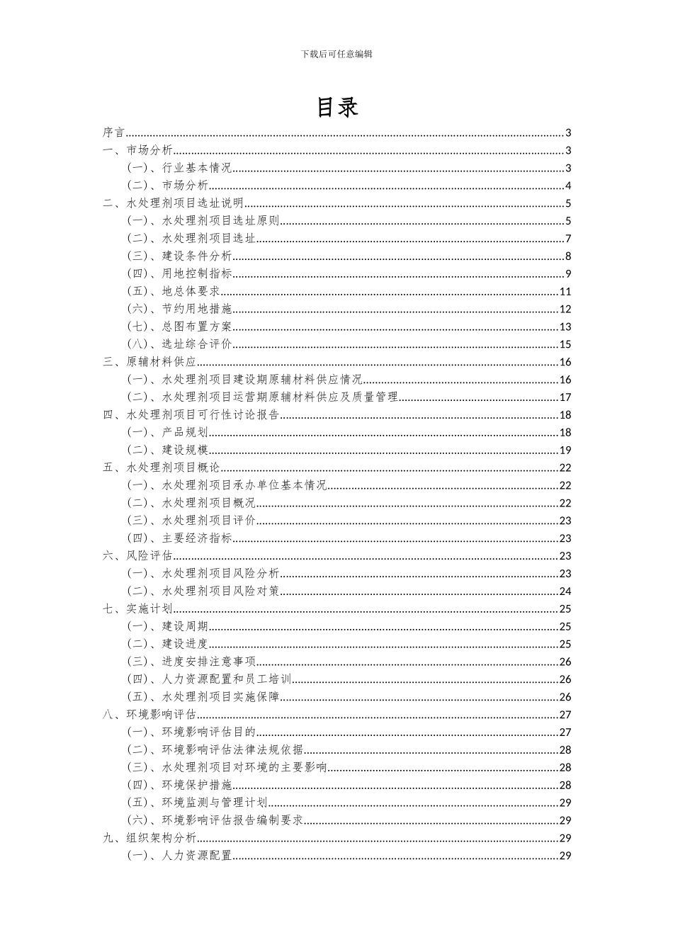 2024年水处理剂项目投资分析及可行性报告_第2页