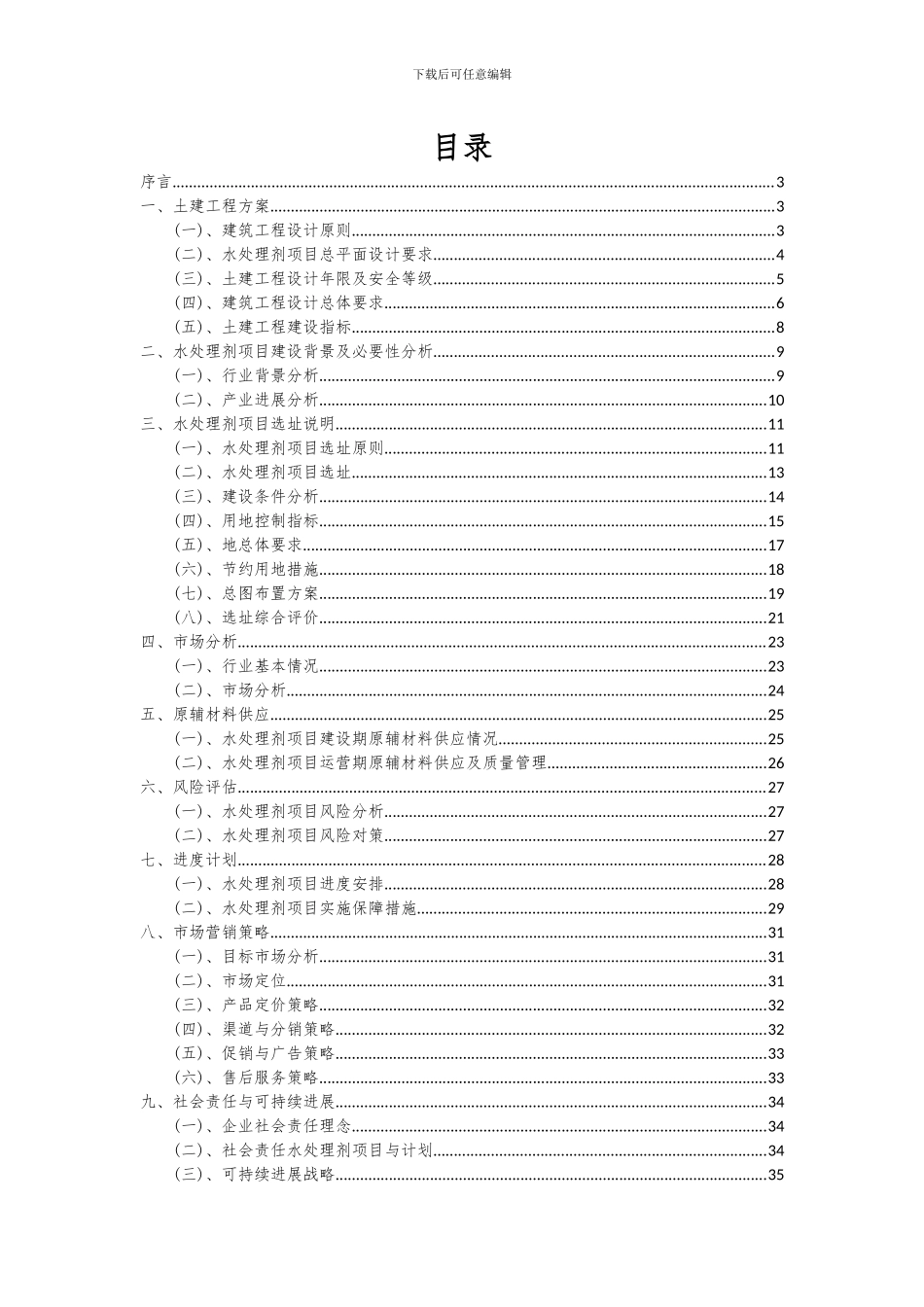 2024年水处理剂项目可行性分析报告_第2页