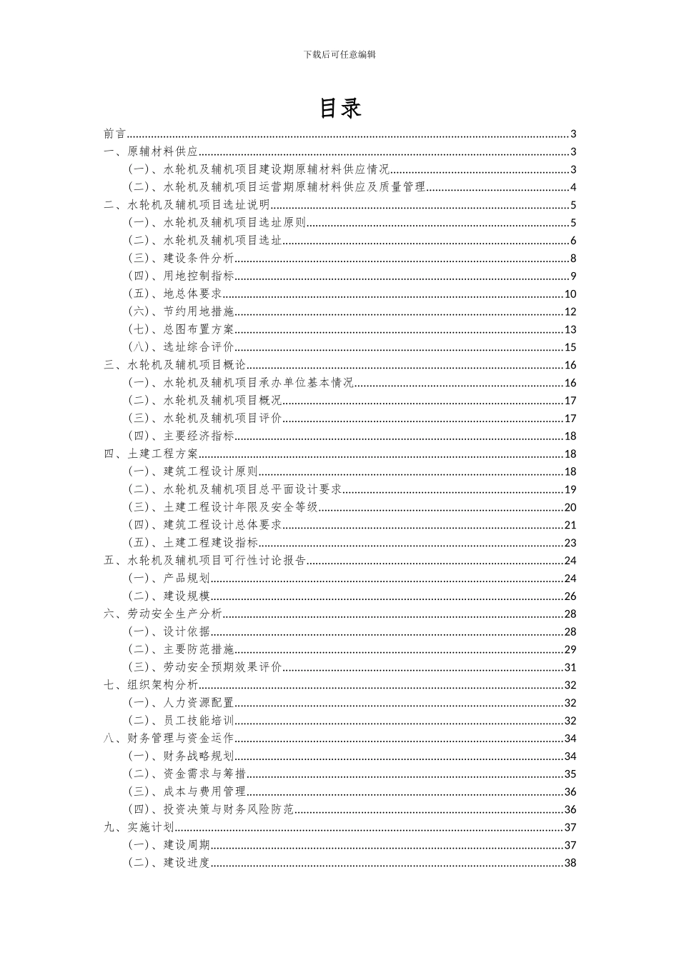 2024年水轮机及辅机项目可行性分析报告_第2页