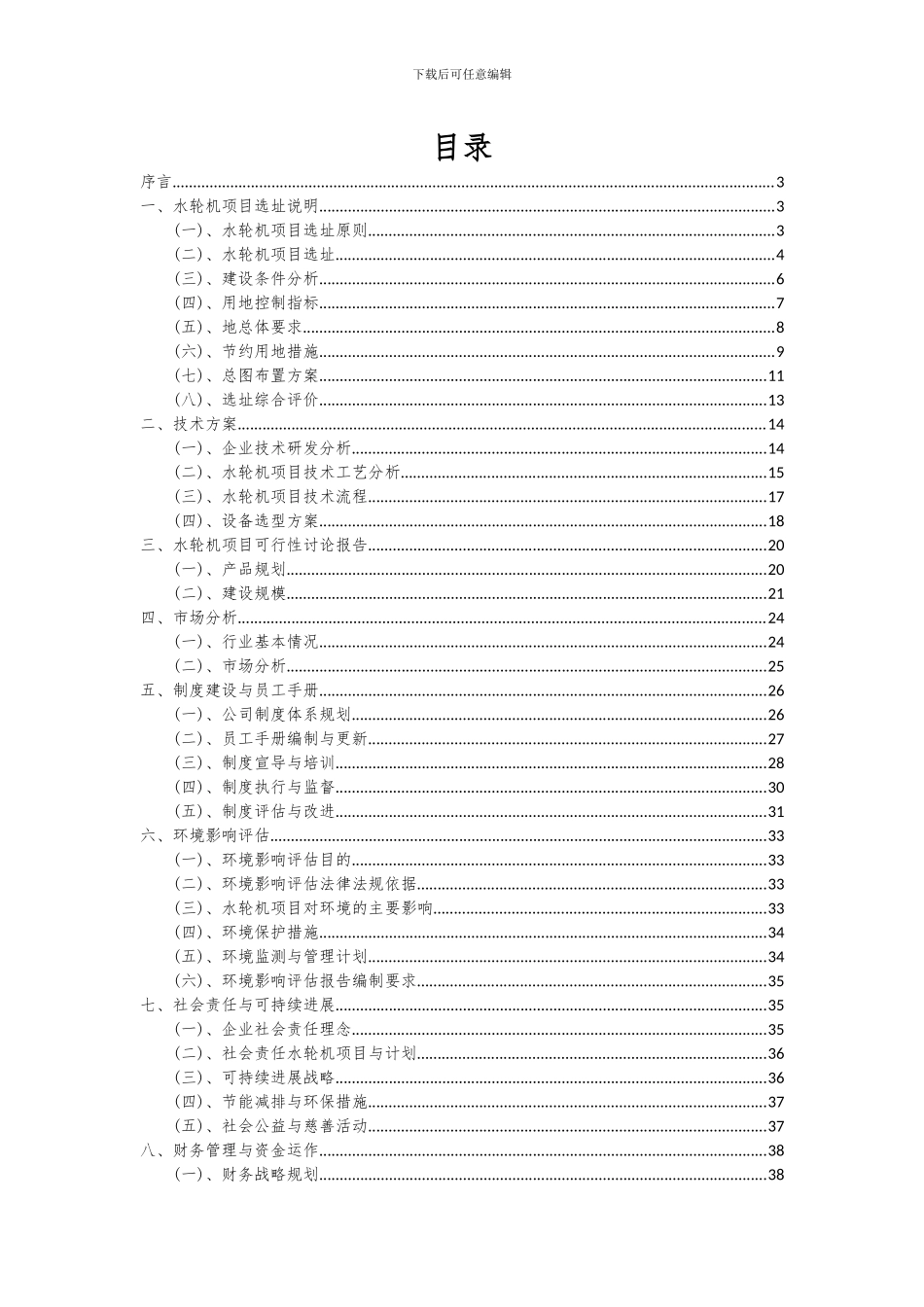 2024年水轮机项目投资分析及可行性报告_第2页