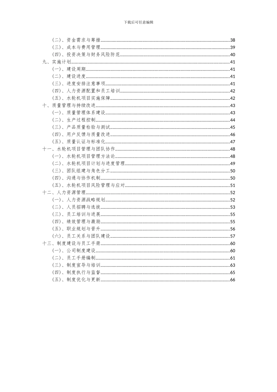 2024年水轮机项目投资分析及可行性报告_第3页