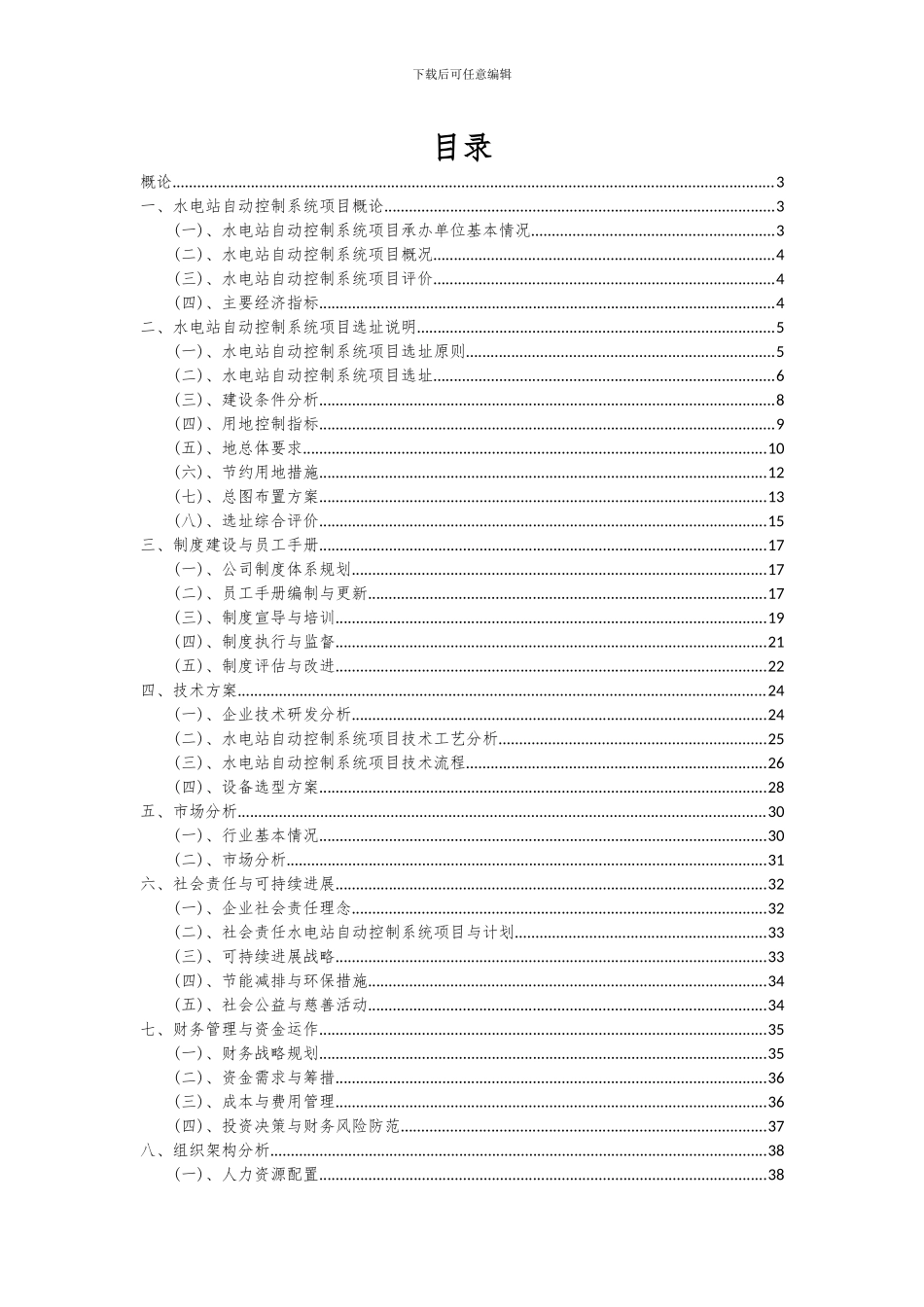 2024年水电站自动控制系统项目可行性研究报告_第2页