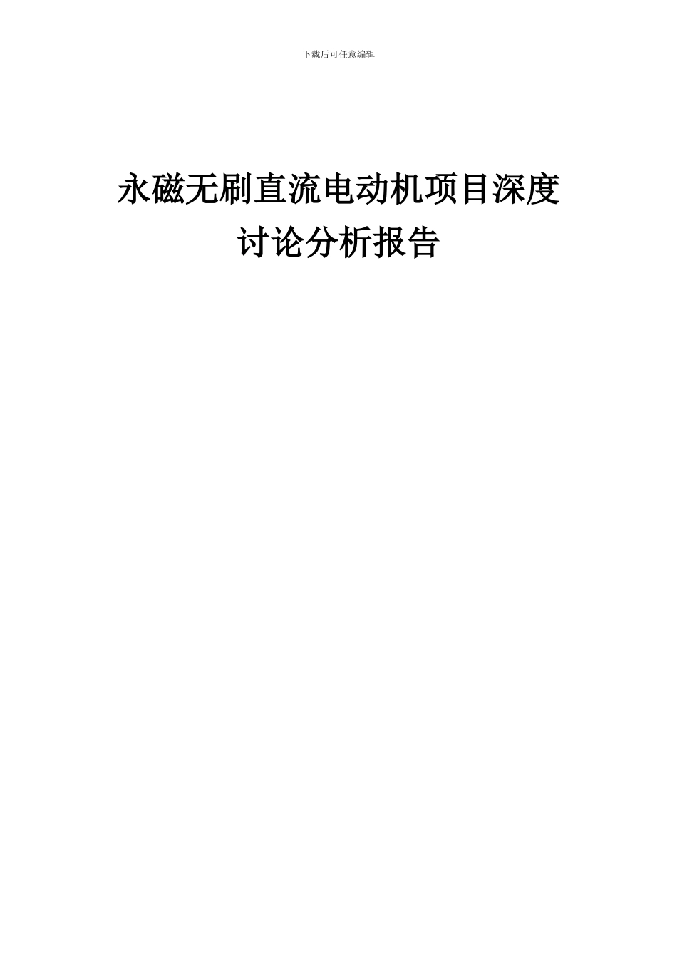 2024年永磁无刷直流电动机项目深度研究分析报告_第1页