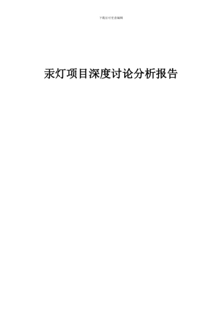 2024年汞灯项目深度研究分析报告