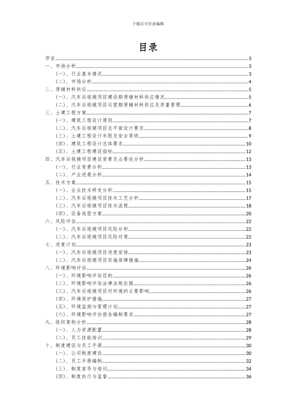 2024年汽车后视镜项目可行性研究报告_第2页