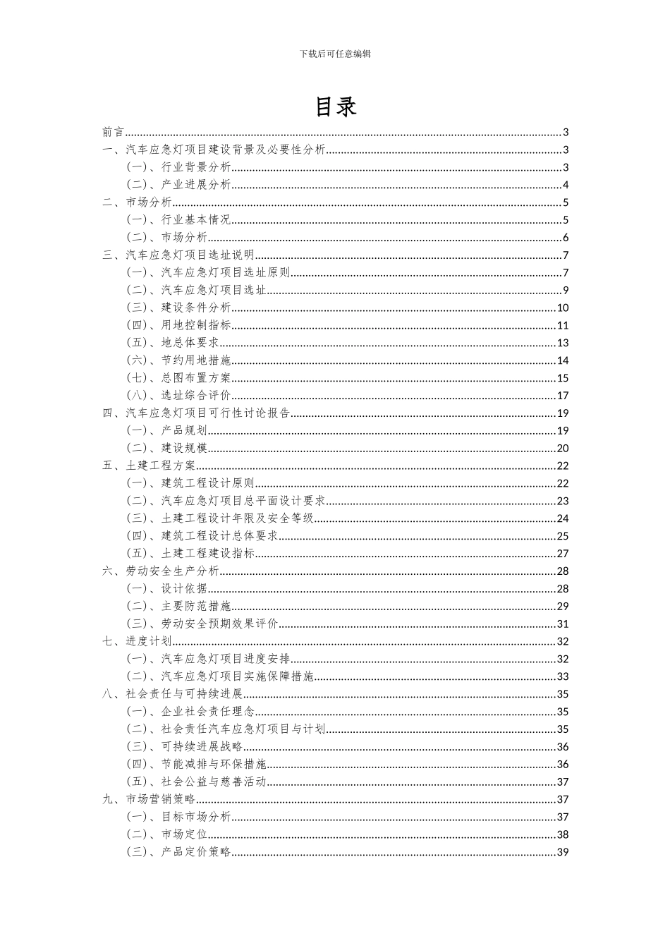 2024年汽车应急灯项目可行性研究报告_第2页