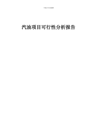 2024年汽油项目可行性分析报告
