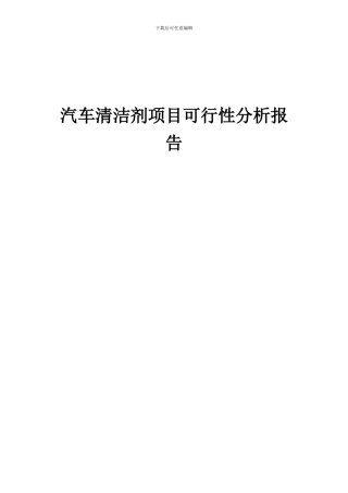 2024年汽车清洁剂项目可行性分析报告