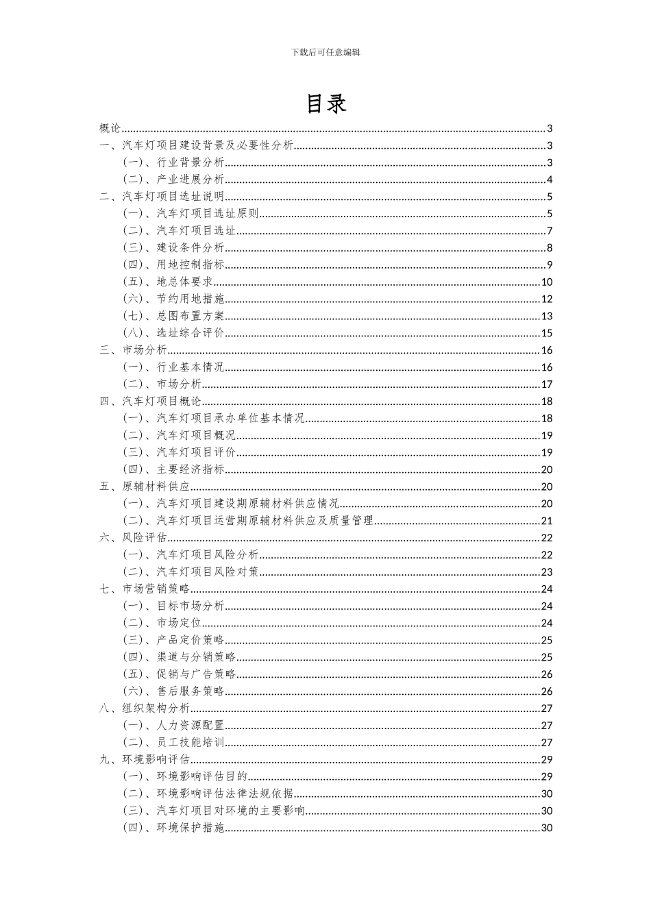 2024年汽车灯项目投资分析及可行性报告_第2页
