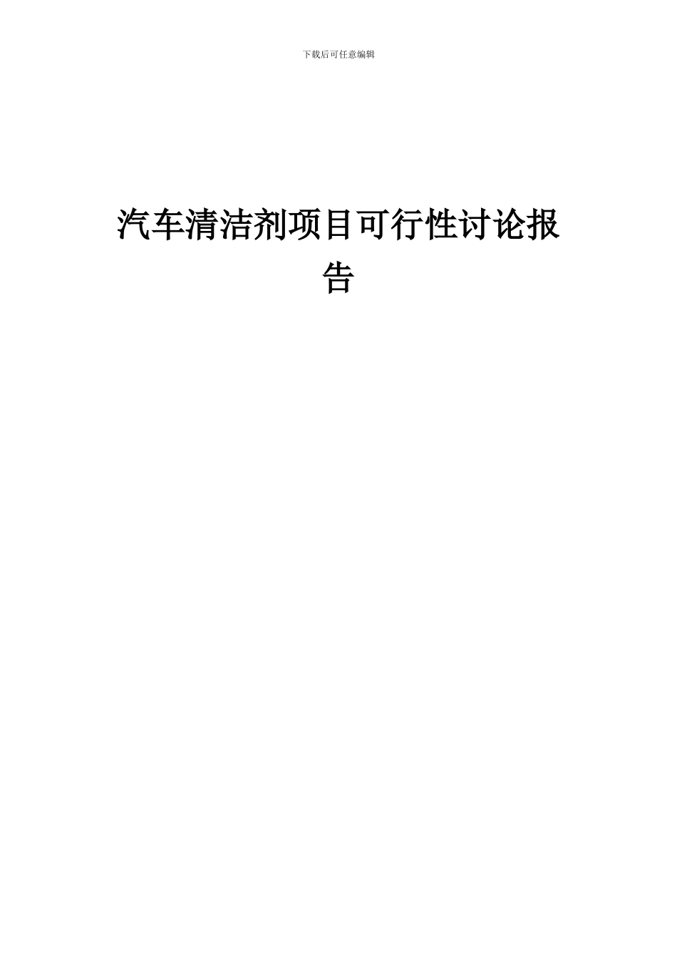 2024年汽车清洁剂项目可行性研究报告_第1页