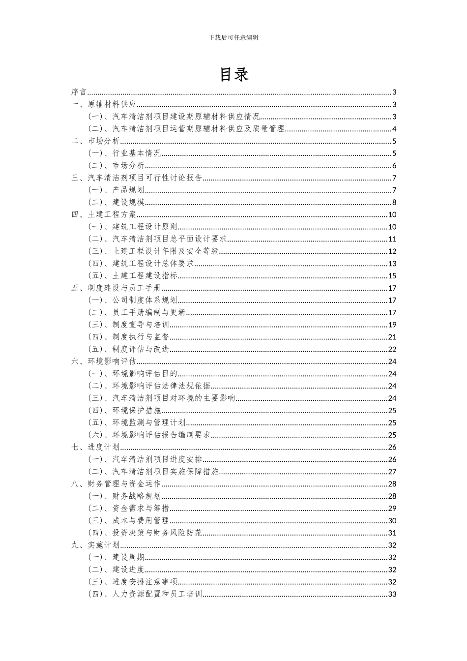 2024年汽车清洁剂项目可行性研究报告_第2页