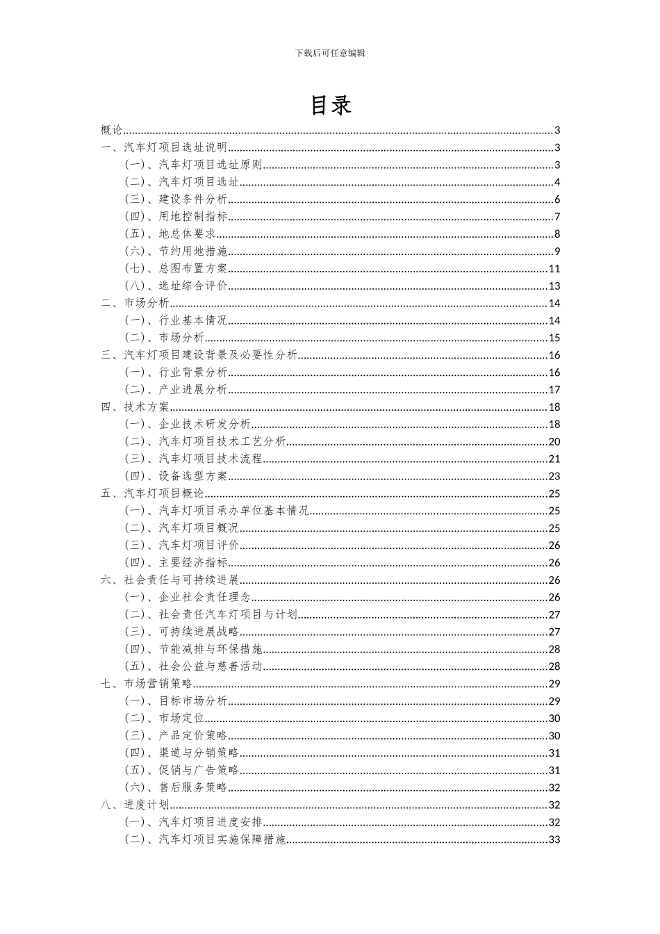 2024年汽车灯项目可行性分析报告_第2页