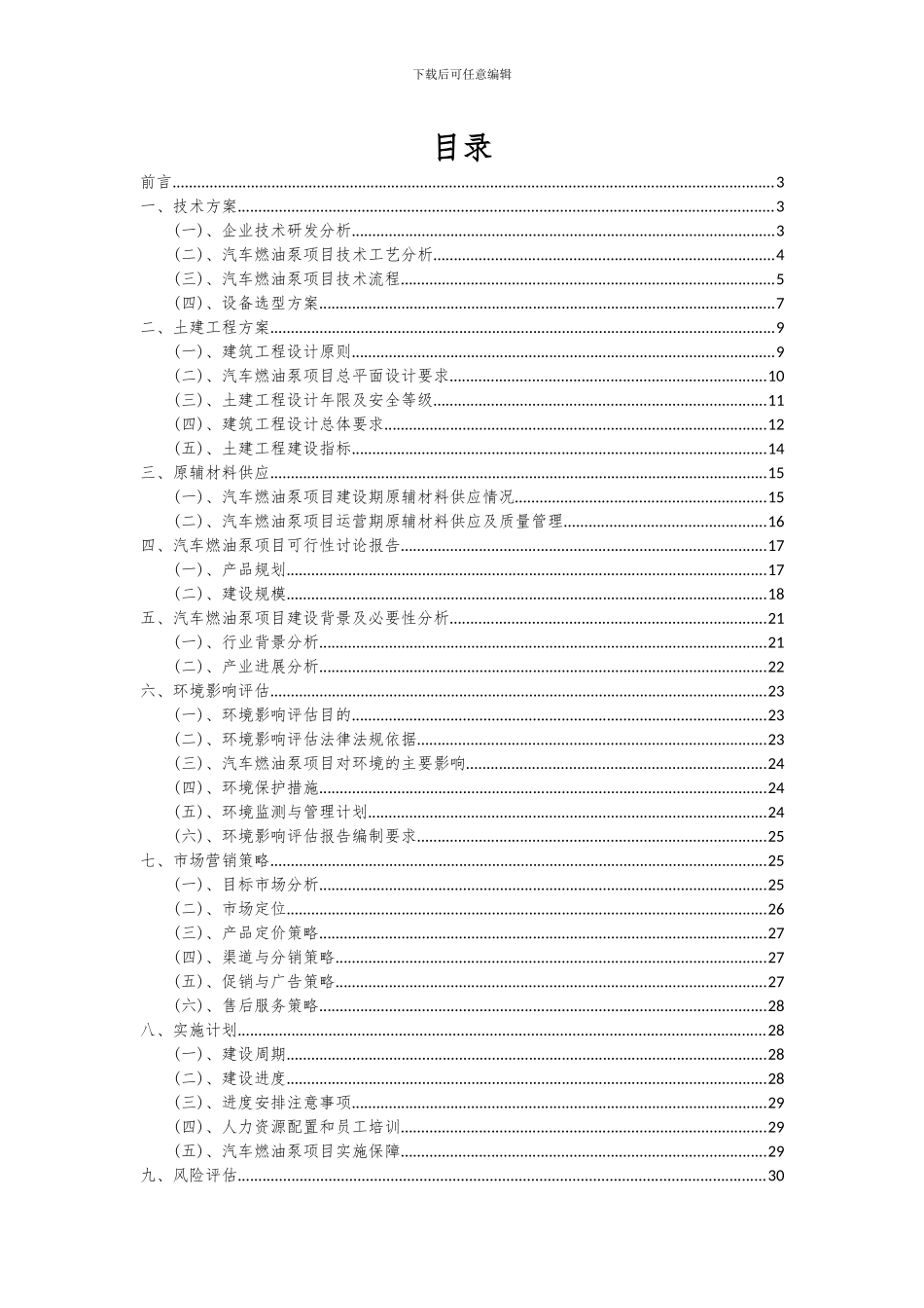 2024年汽车燃油泵项目投资分析及可行性报告_第2页