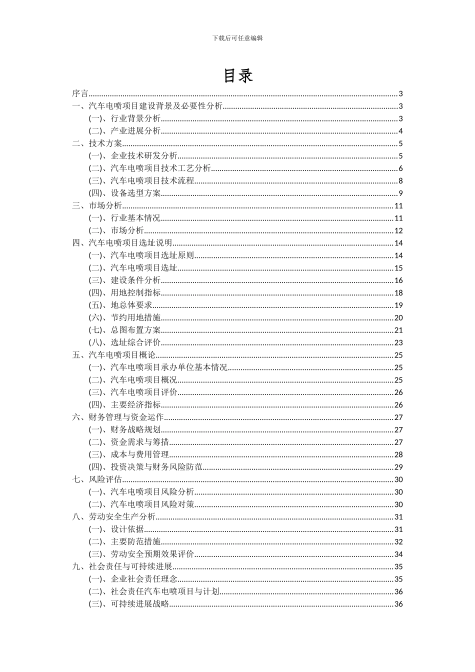2024年汽车电喷项目可行性分析报告_第2页