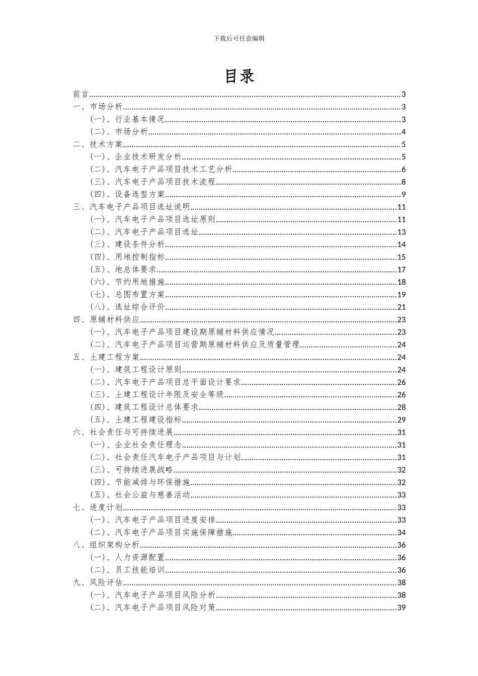 2024年汽车电子产品项目可行性分析报告_第2页