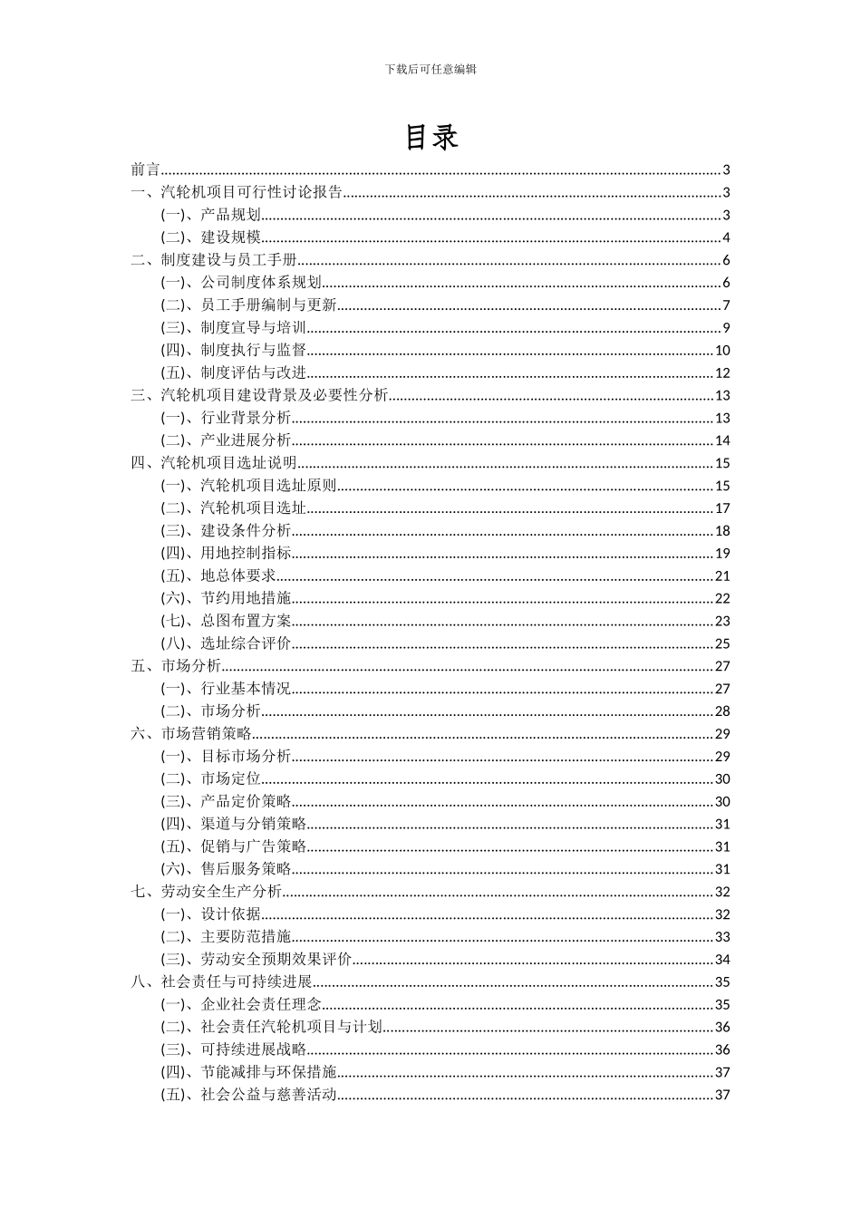 2024年汽轮机项目可行性研究报告_第2页