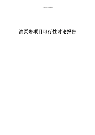2024年油页岩项目可行性研究报告