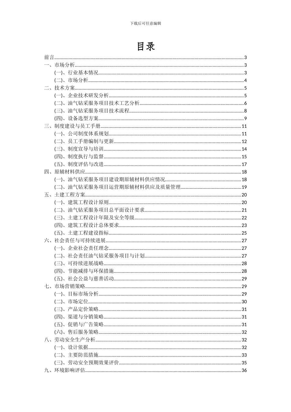 2024年油气钻采服务项目可行性分析报告_第2页