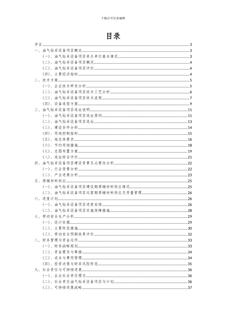 2024年油气钻采设备项目深度研究分析报告_第2页