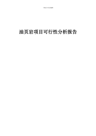 2024年油页岩项目可行性分析报告