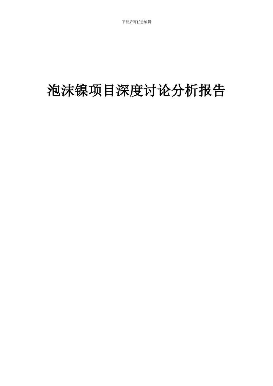 2024年泡沫镍项目深度研究分析报告_第1页