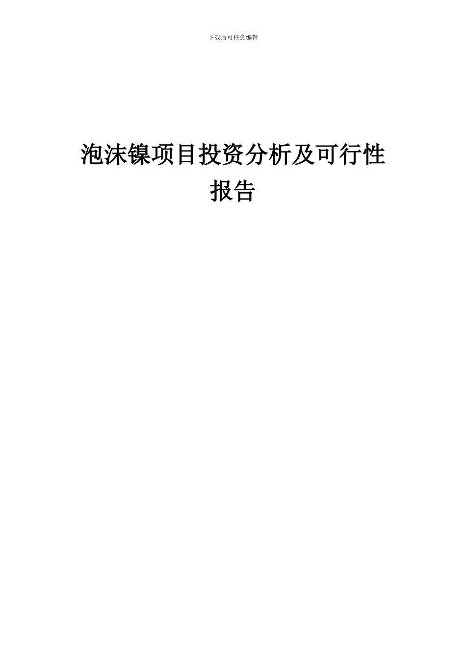 2024年泡沫镍项目投资分析及可行性报告_第1页