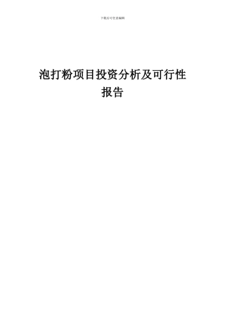 2024年泡打粉项目投资分析及可行性报告