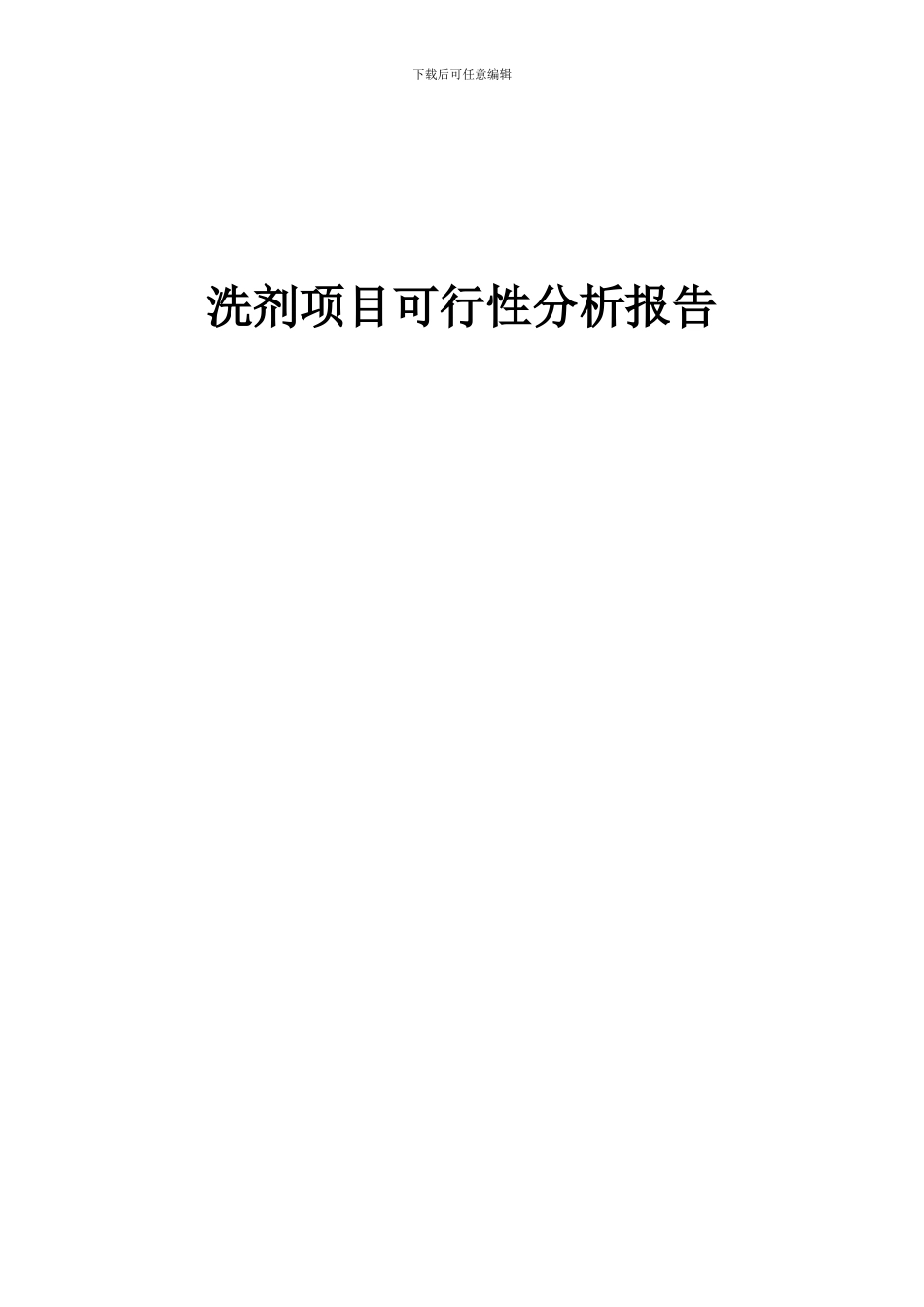 2024年洗剂项目可行性分析报告_第1页