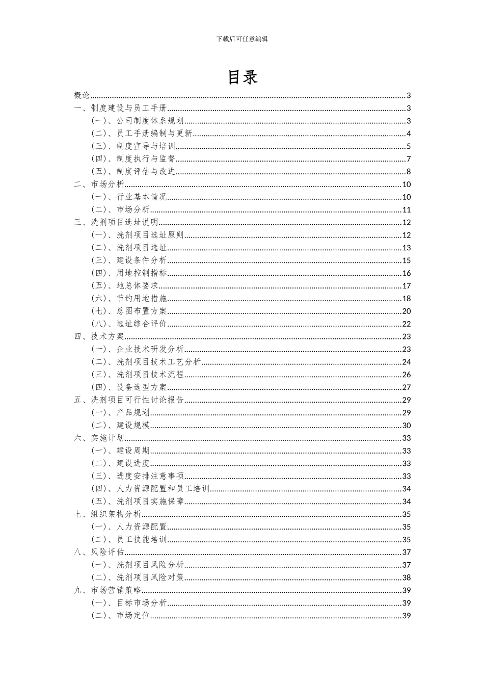 2024年洗剂项目可行性研究报告_第2页