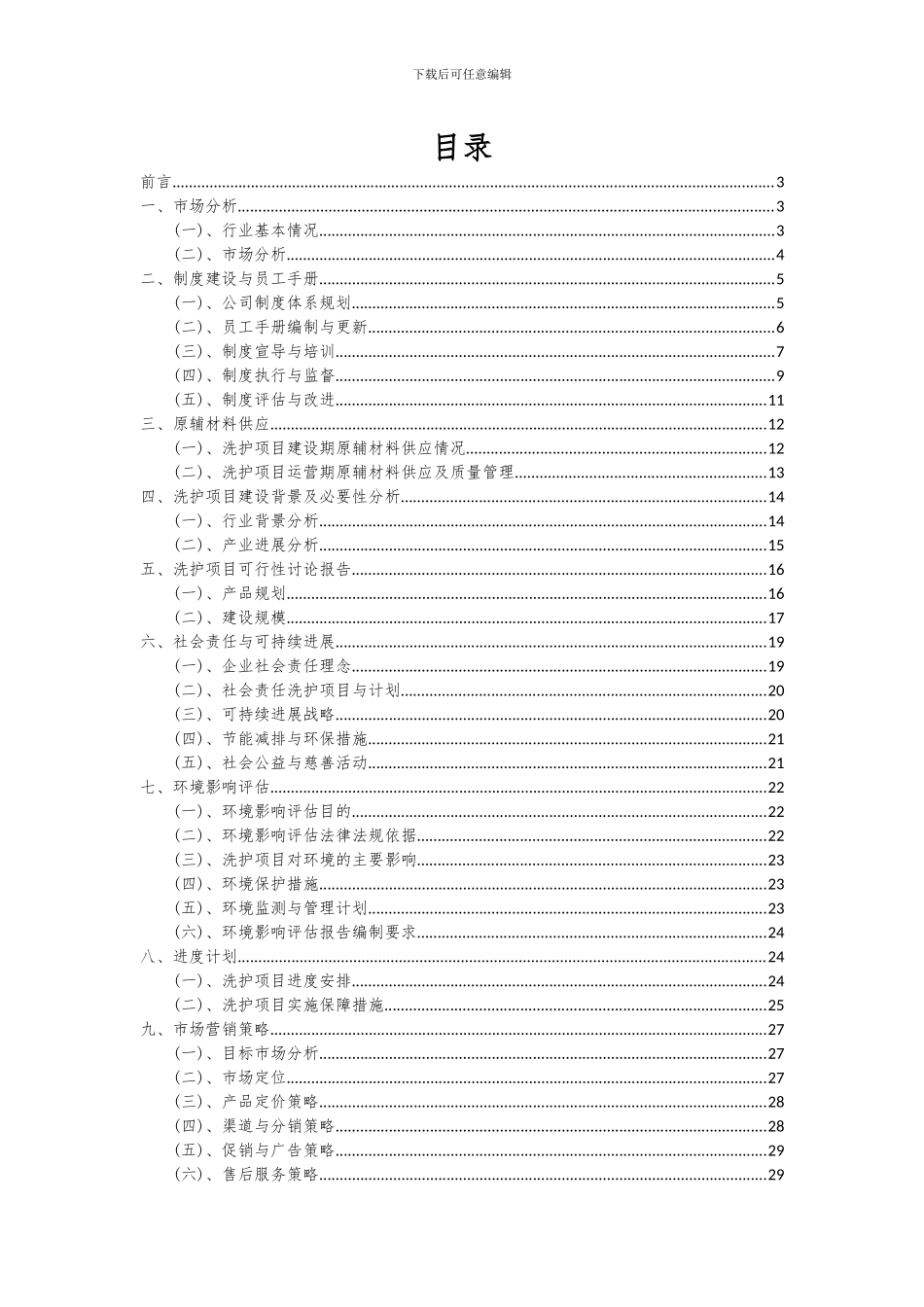 2024年洗护项目可行性研究报告_第2页