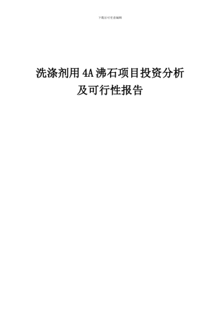 2024年洗涤剂用4A沸石项目投资分析及可行性报告