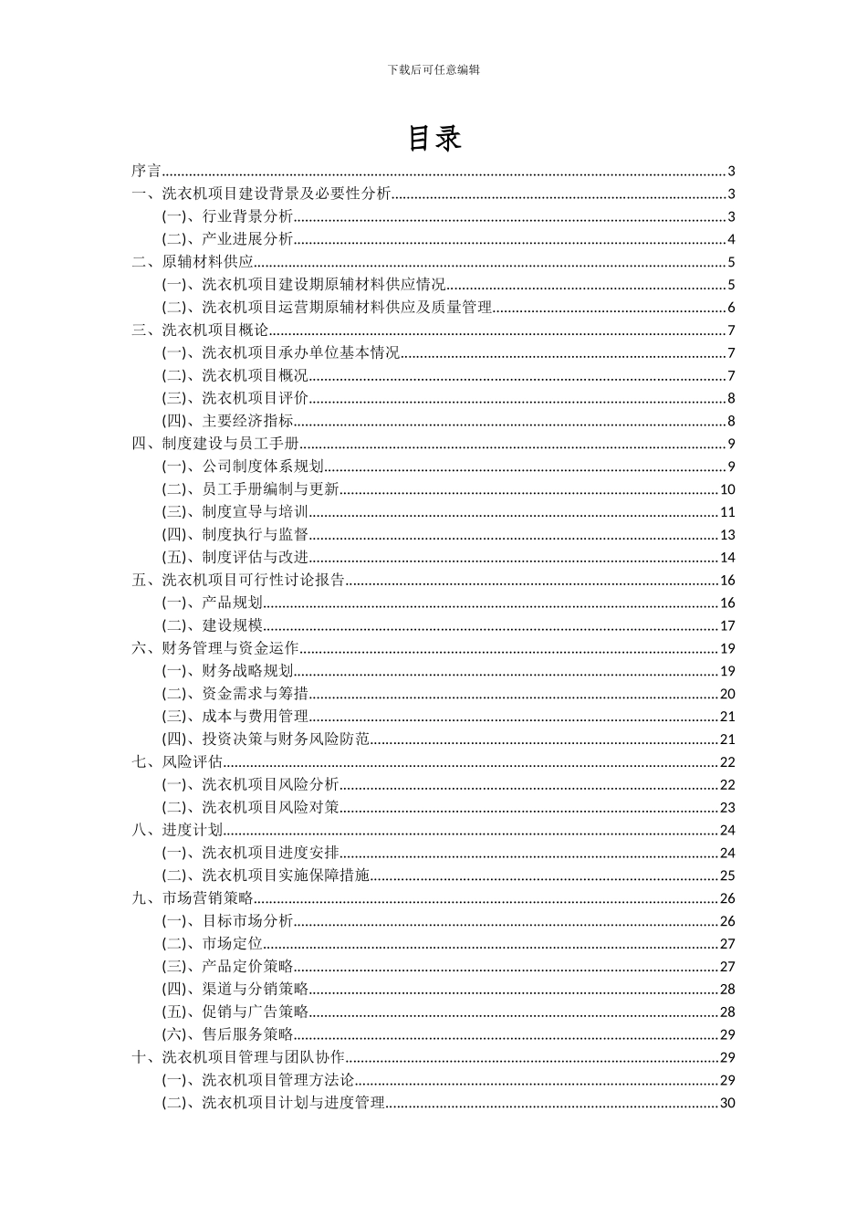 2024年洗衣机项目可行性分析报告_第2页