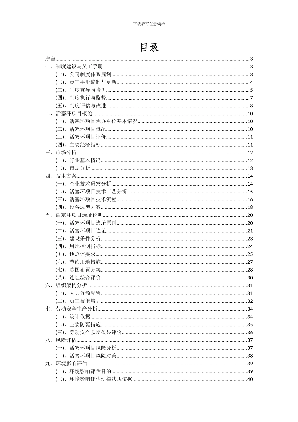 2024年活塞环项目深度研究分析报告_第2页