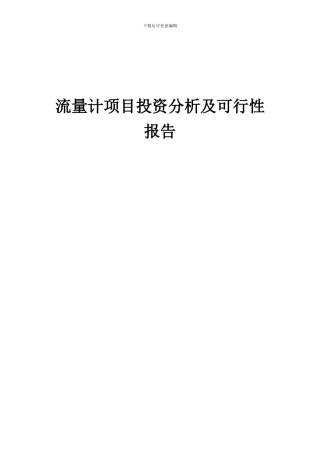 2024年流量计项目投资分析及可行性报告