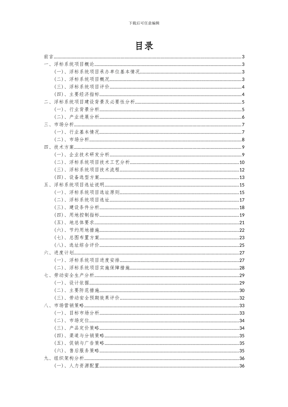 2024年浮标系统项目可行性研究报告_第2页