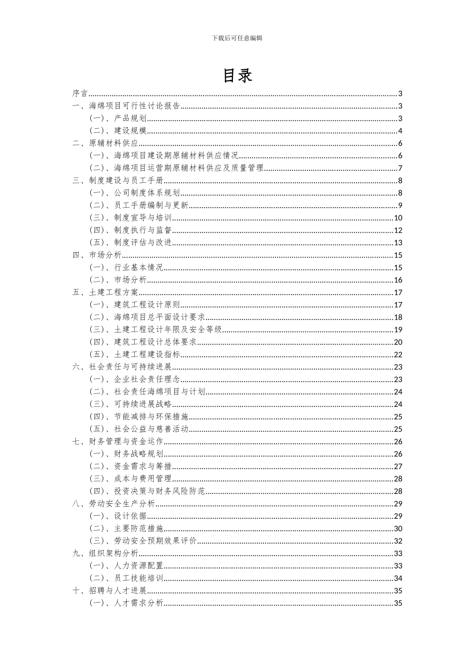 2024年海绵项目可行性分析报告_第2页