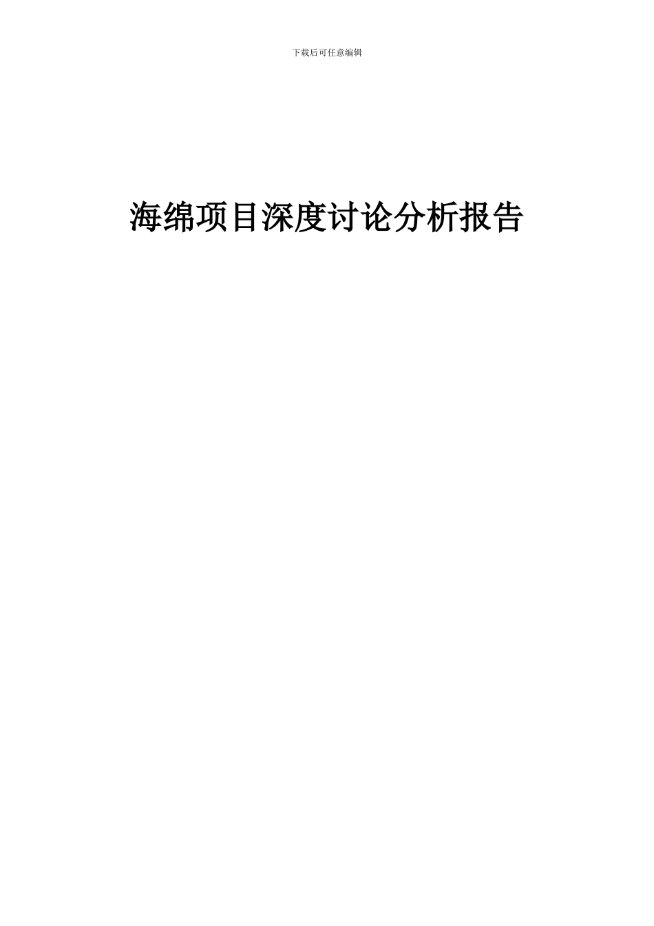 2024年海绵项目深度研究分析报告_第1页