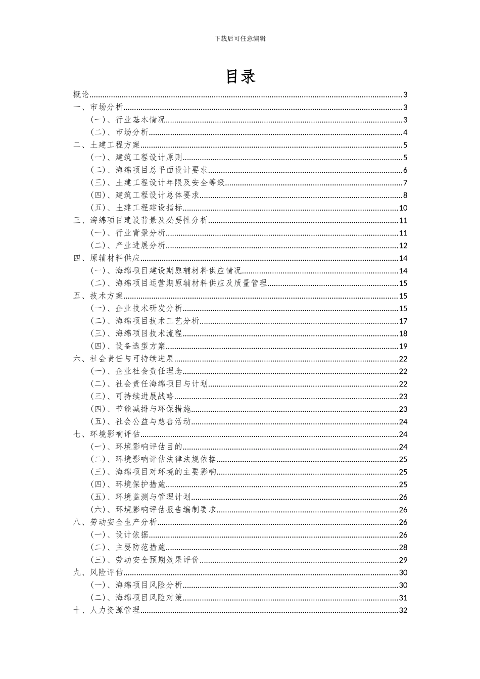 2024年海绵项目深度研究分析报告_第2页