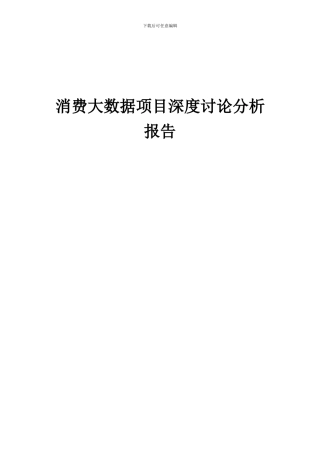 2024年消费大数据项目深度研究分析报告