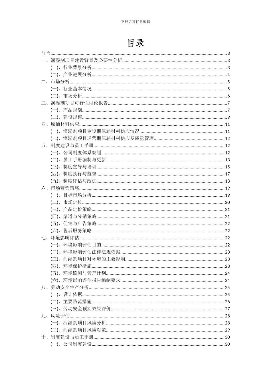 2024年润湿剂项目可行性分析报告_第2页