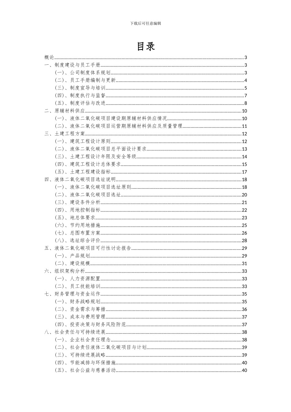 2024年液体二氧化碳项目可行性分析报告_第2页