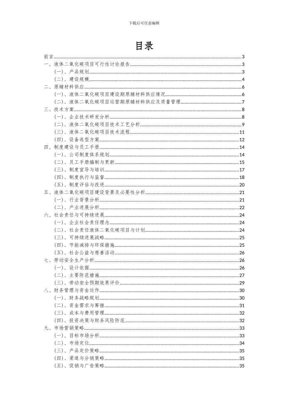 2024年液体二氧化碳项目可行性研究报告_第2页