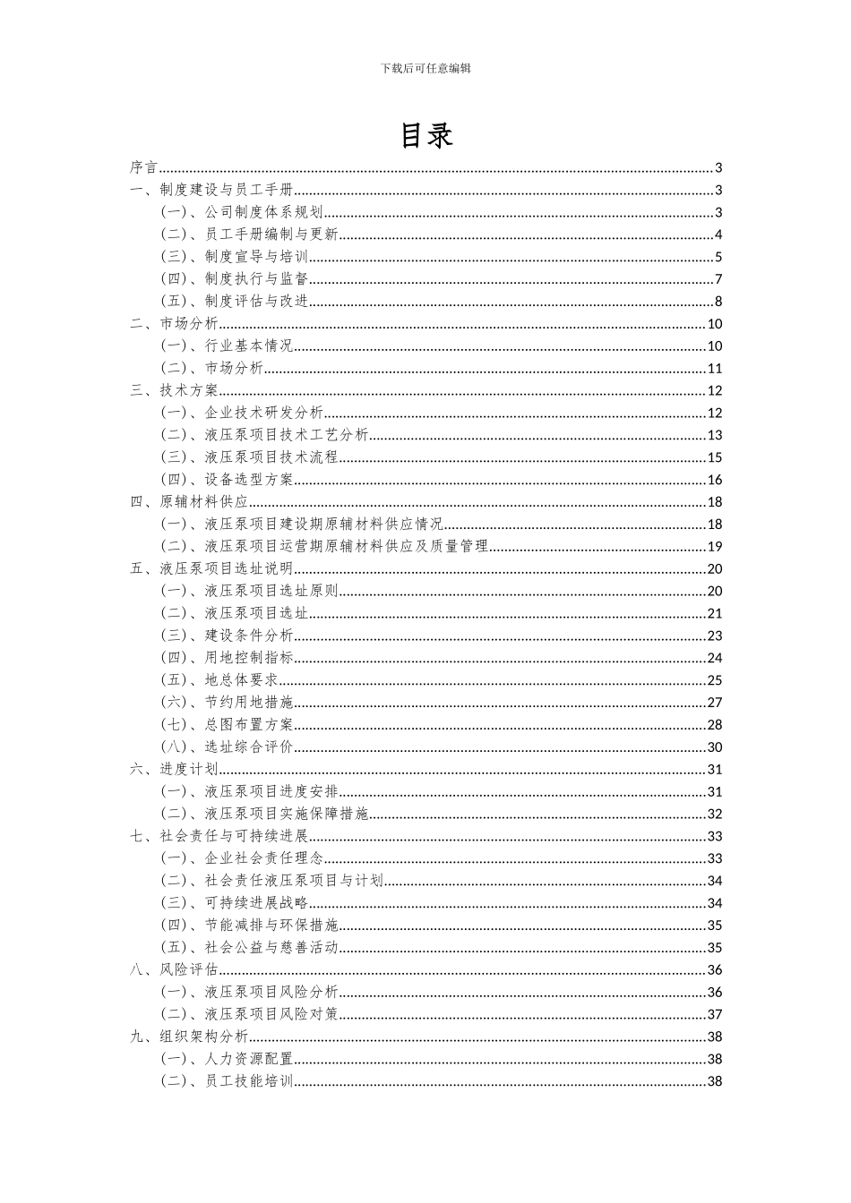2024年液压泵项目可行性研究报告_第2页