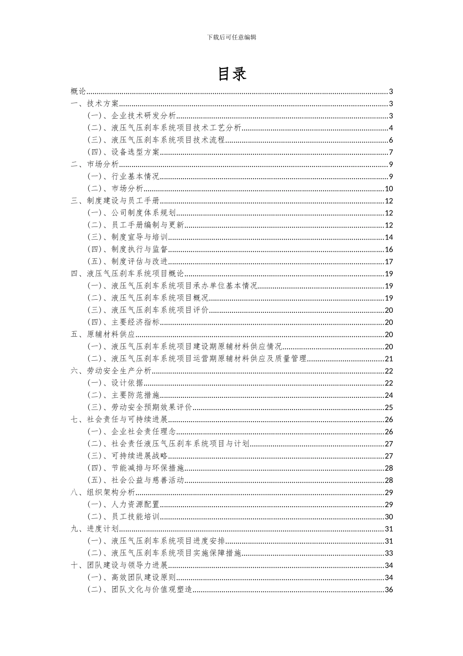 2024年液压气压刹车系统项目投资分析及可行性报告_第2页